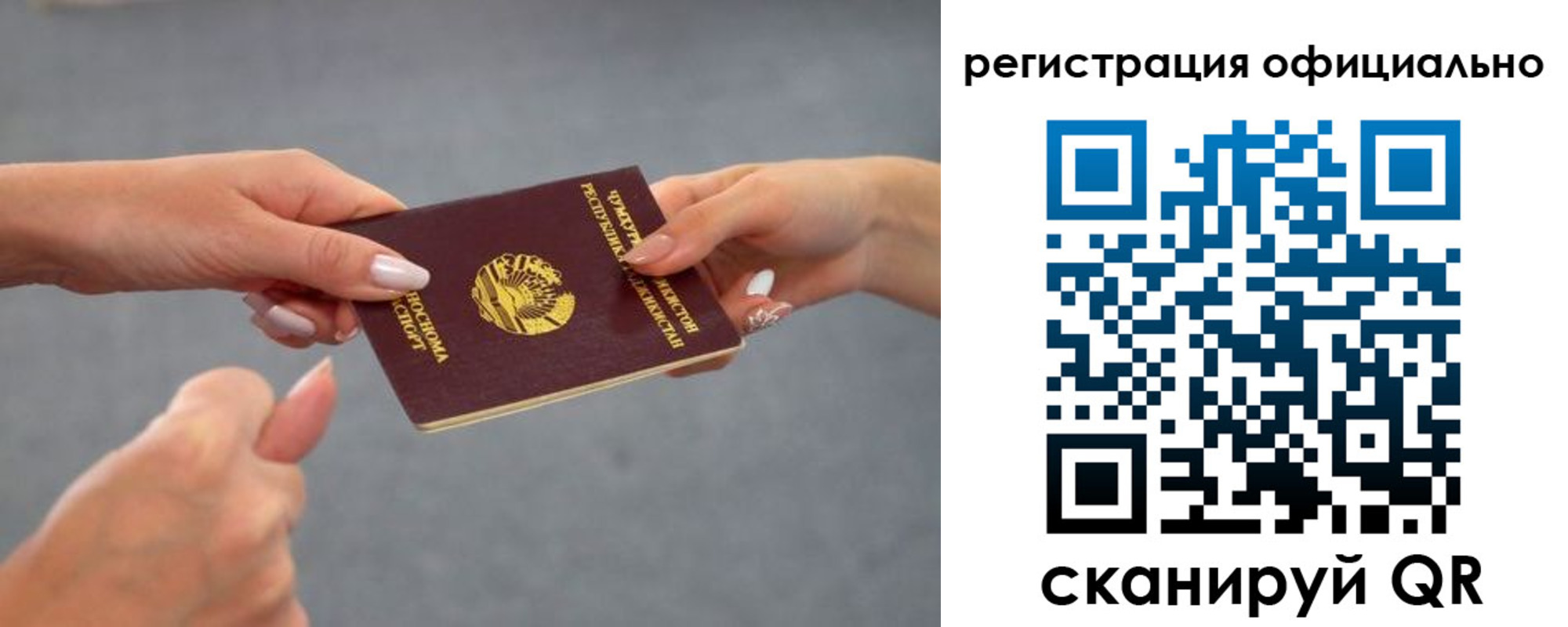 прописка поиск в Лосино-Петровском